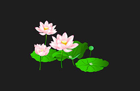 卡通荷叶荷花flash动画